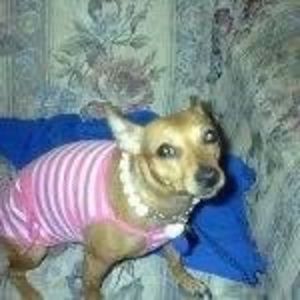 Meet your Posher, Dawn